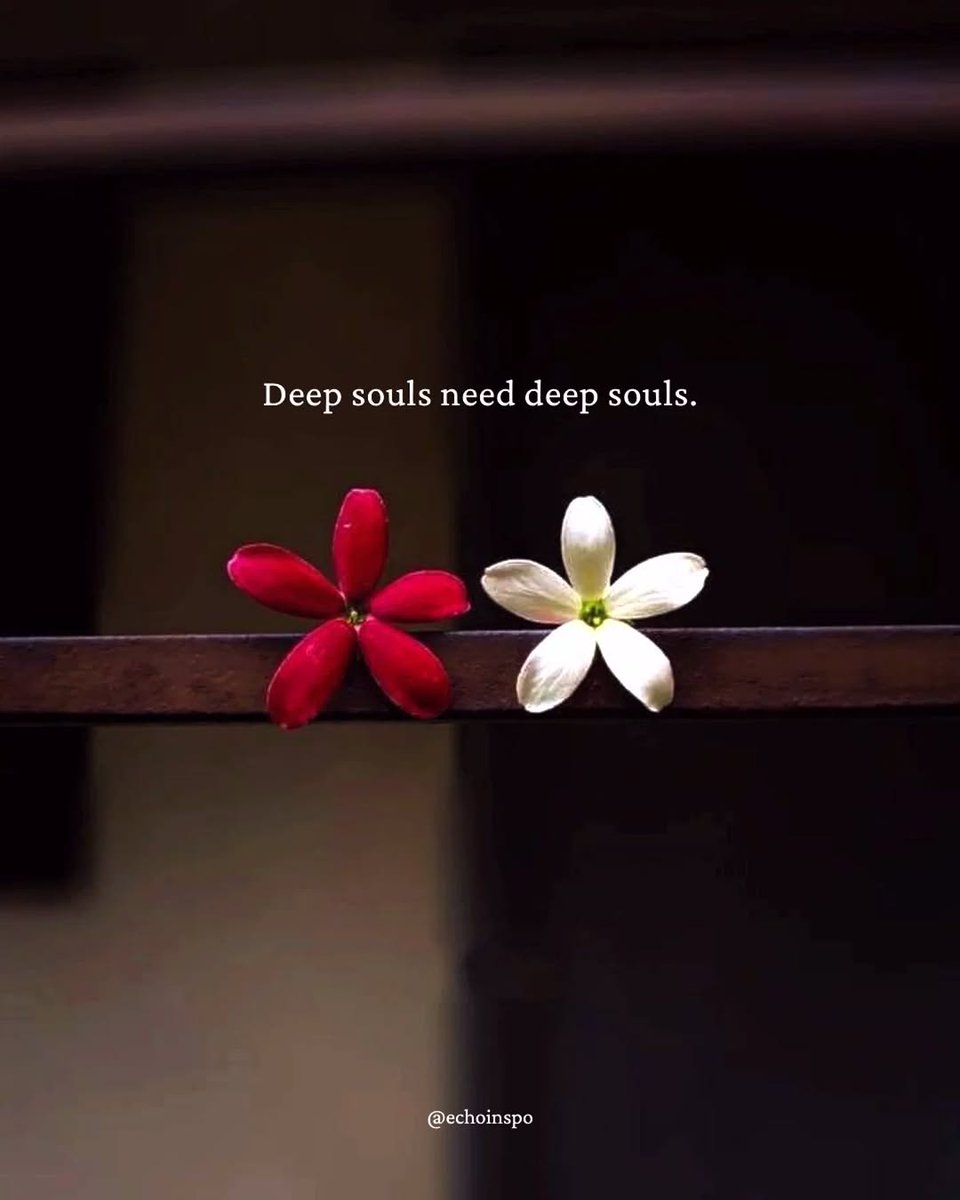 🧬Maxpein🧬 tweet media