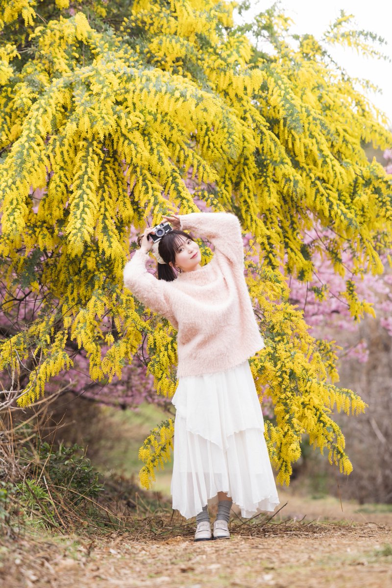 雪村まり(まりりん) tweet media