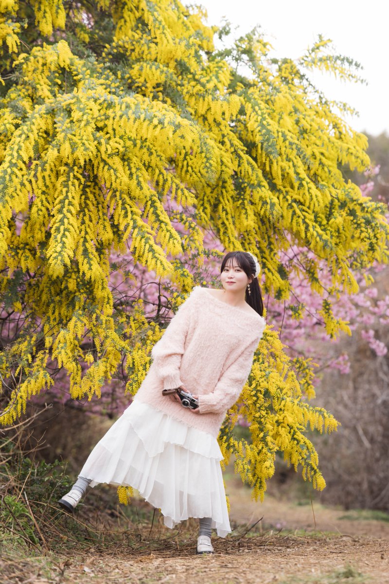 雪村まり(まりりん) tweet media