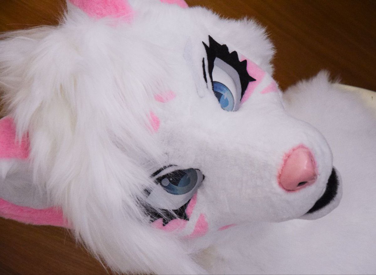 DragonSDsgn's tweet photo. Time to show off the cats and dogs! 🤍🩵💜 

#fursuitmaker #fursuit #kemonofursuit https://t.co/Lo4ux9lBfx