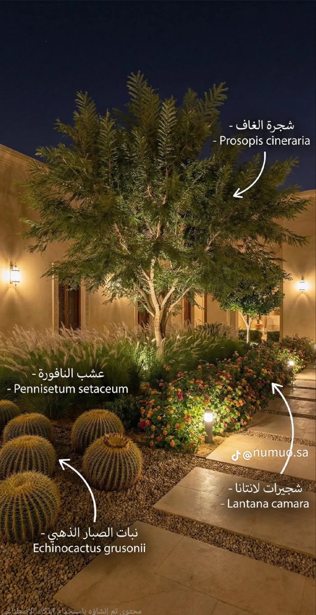 م. ساره 🇸🇦 tweet media