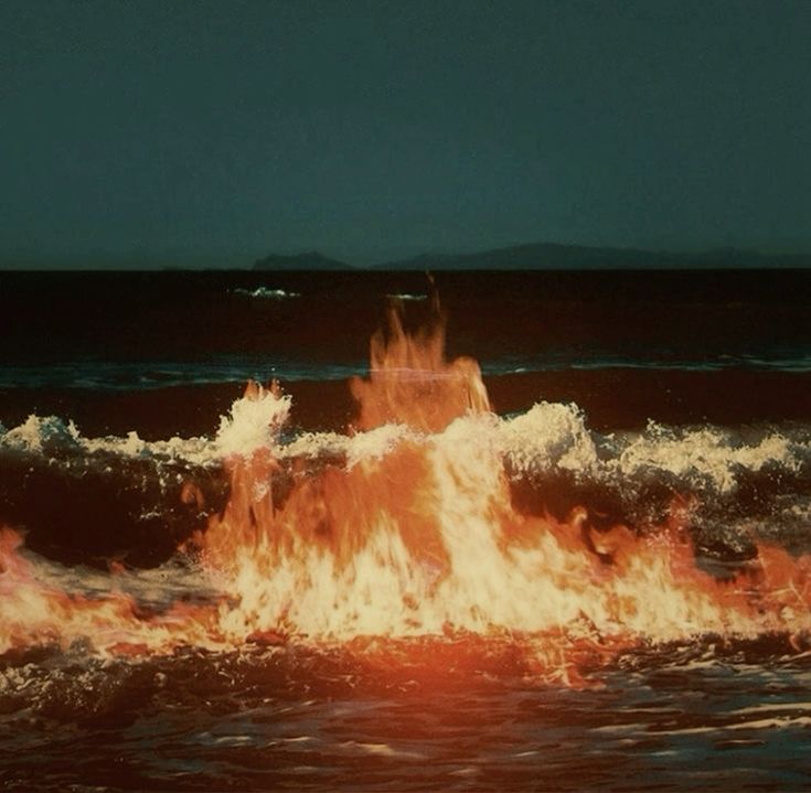 Guilherme José tweet media