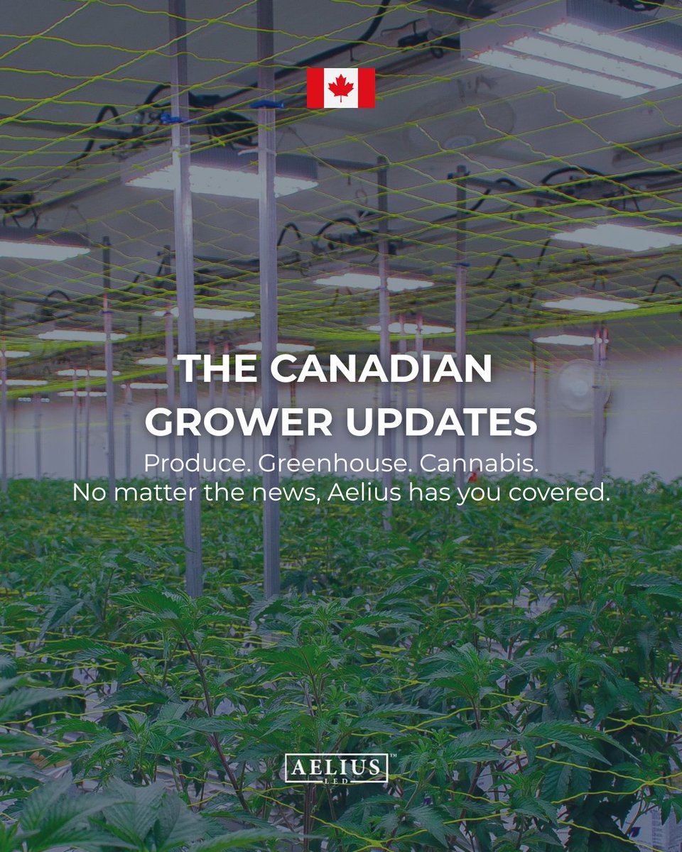 Aelius LED tweet media