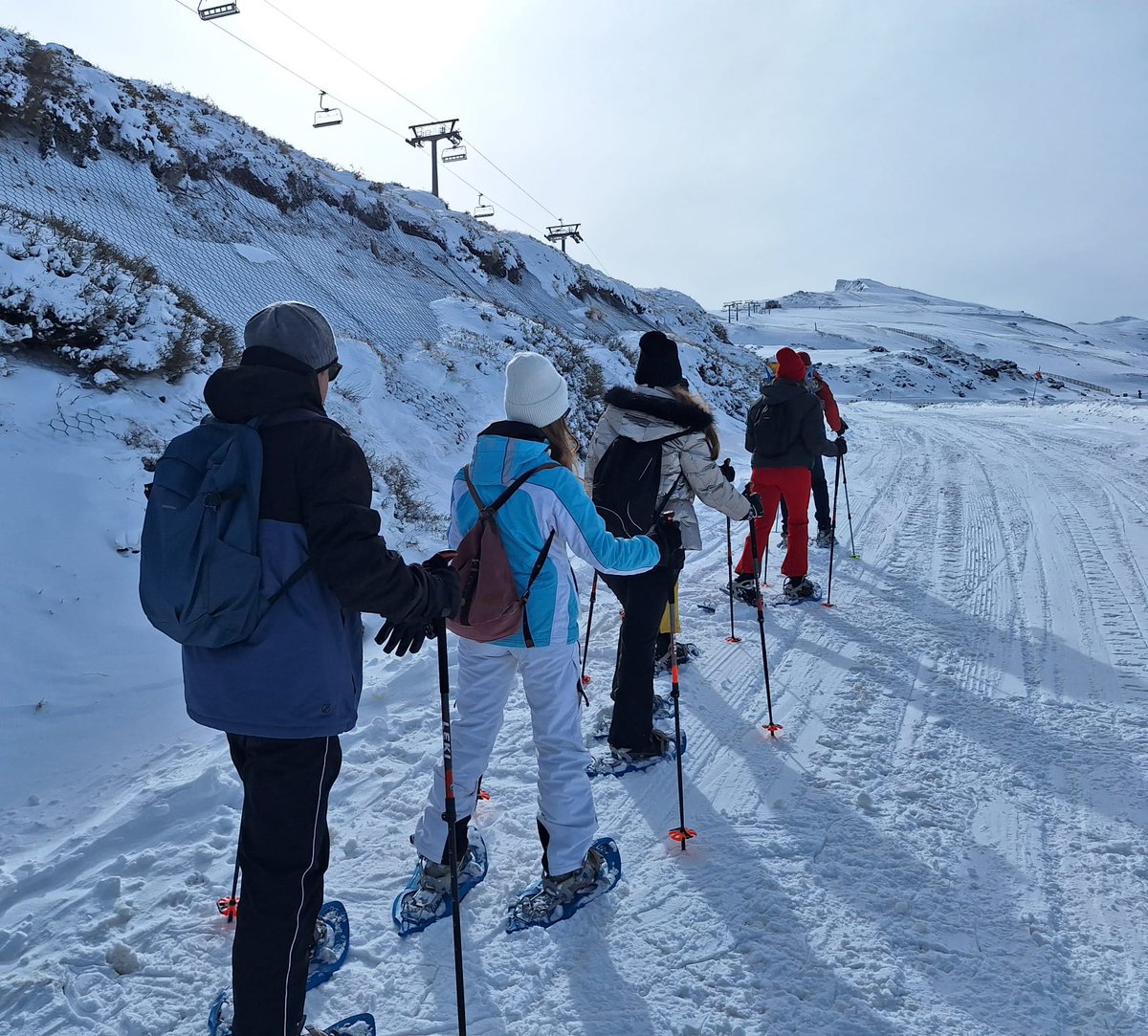 A.E.Empresa Familiar tweet media