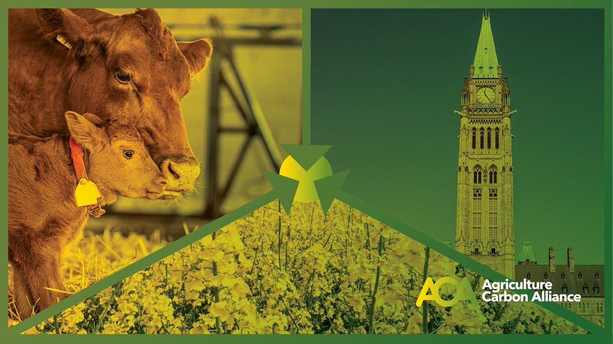 Agriculture Carbon Alliance tweet media