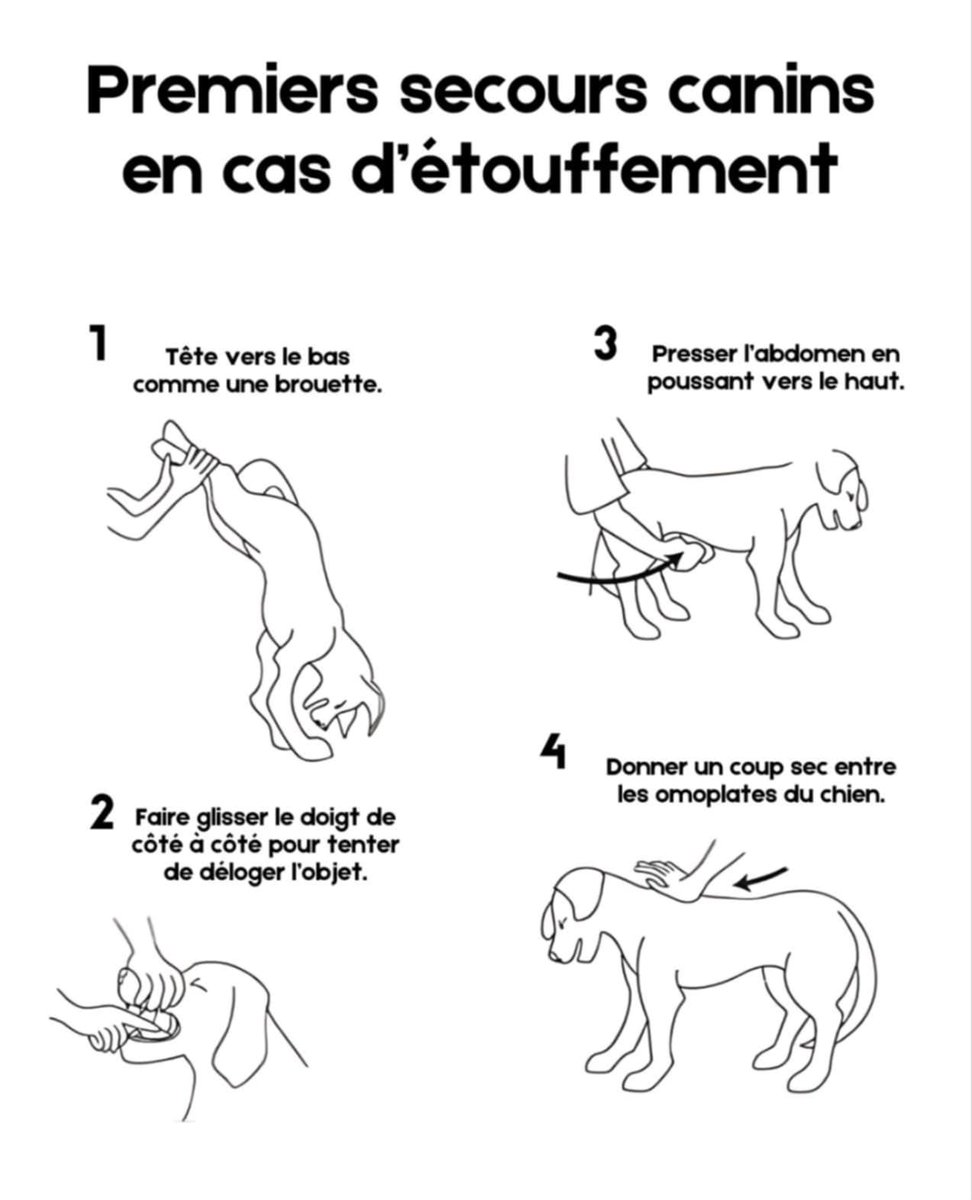 TeleMediaFr tweet media