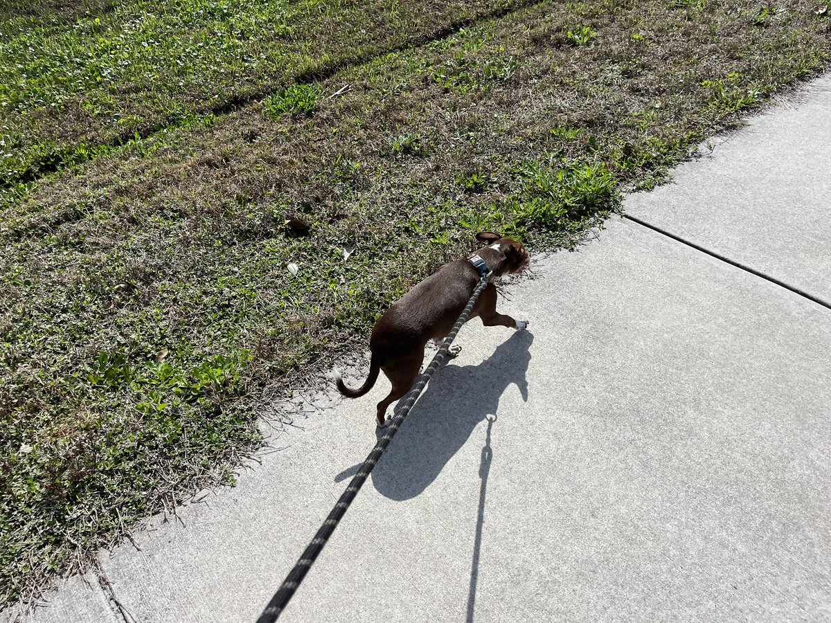 Chris Kokell tweet media