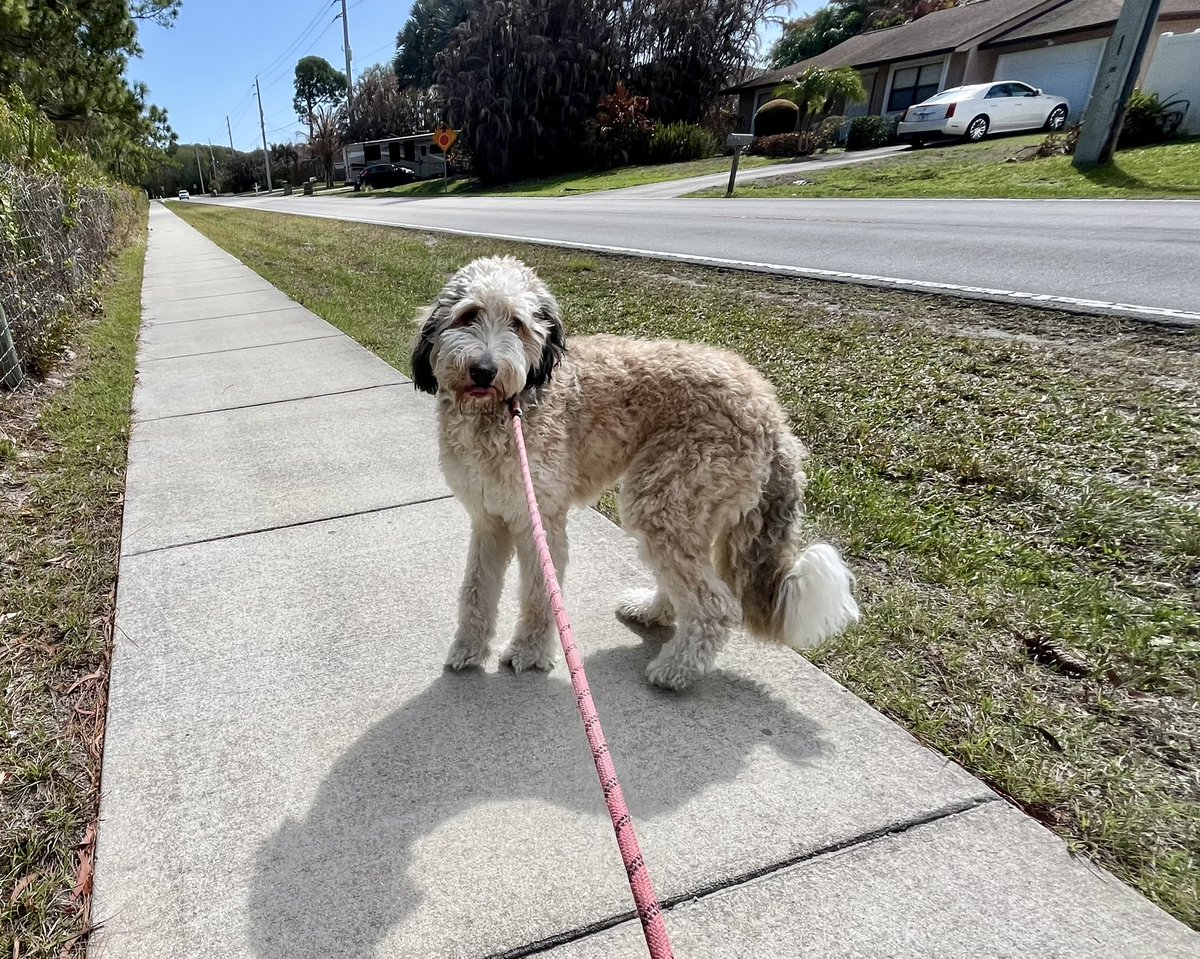 Chris Kokell tweet media