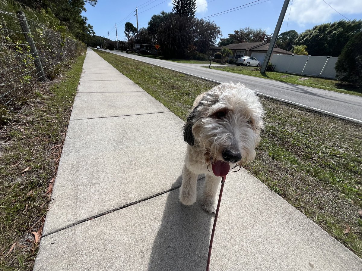 Chris Kokell tweet media