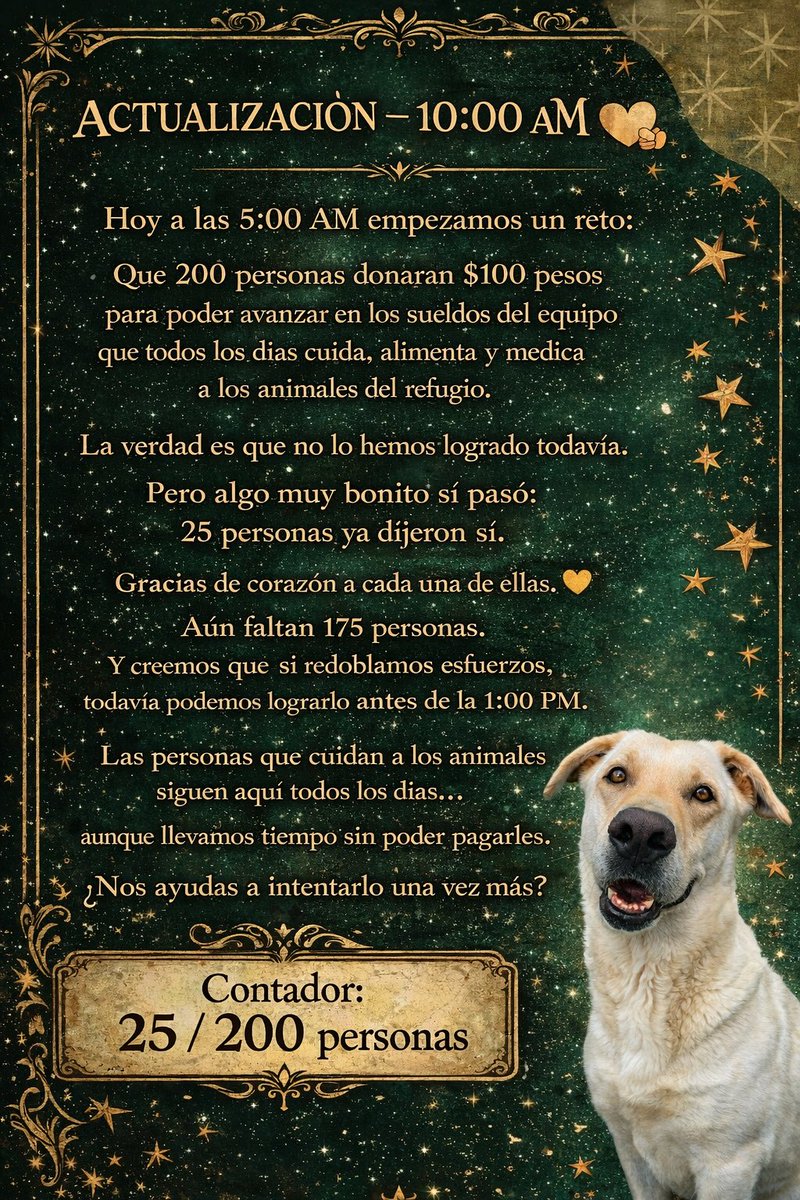 No lo logramos a las 10 AM… pero no queremos rendirnos todavía 🙌🏼💙🐾

Hoy empezamos un reto:
que 200 personas donaran $100 pesos para poder pagar a las personas que todos los días cuidan a los animales del refugio.

La verdad… aún estamos lejos.

Pero 25 personas ya dijeron
