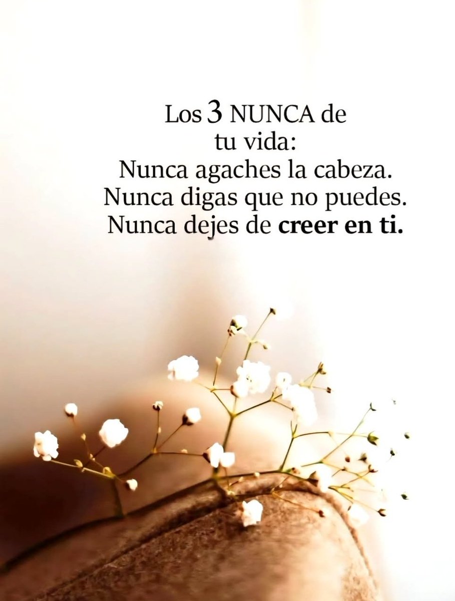 PilarHaces tweet media