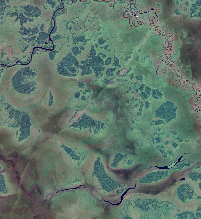 Sekai Chandra tweet media