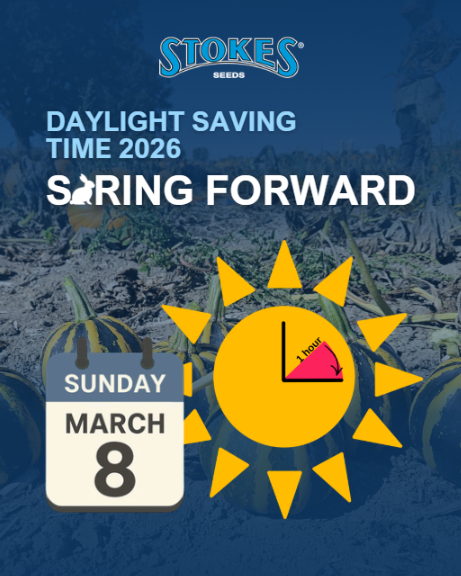 Stokes Seeds tweet media