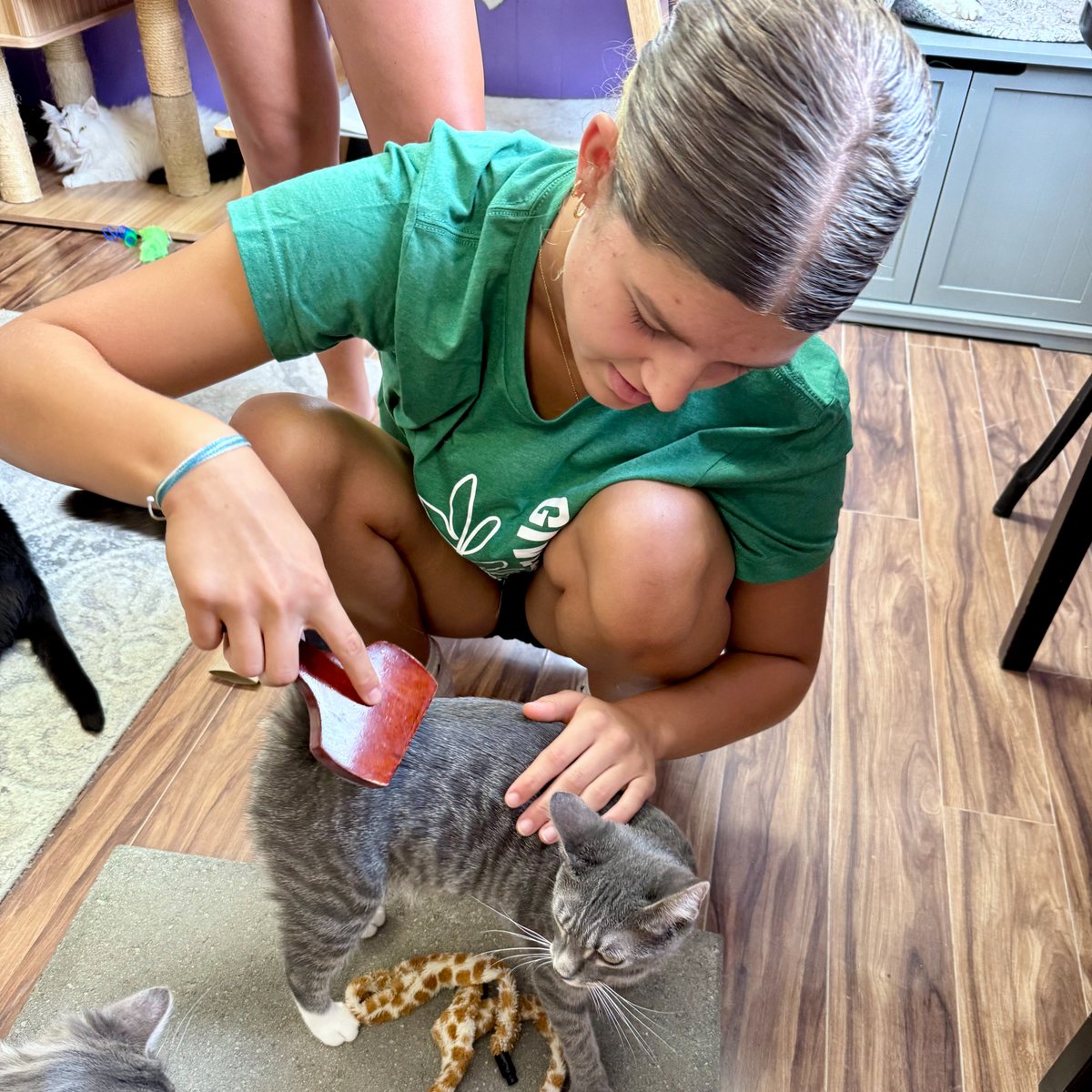 Gleaner Life tweet media