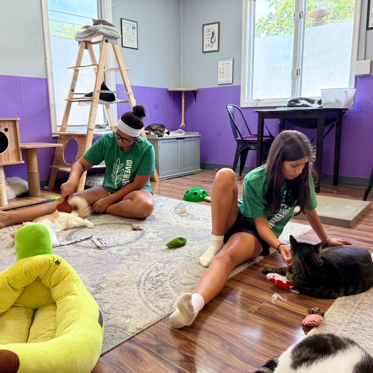 Gleaner Life tweet media