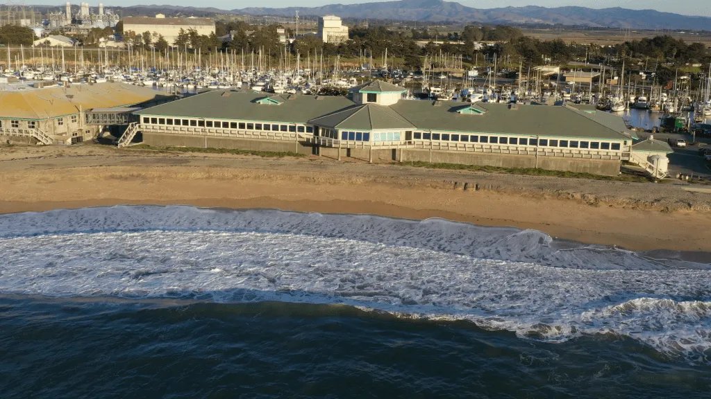 California Curated tweet media