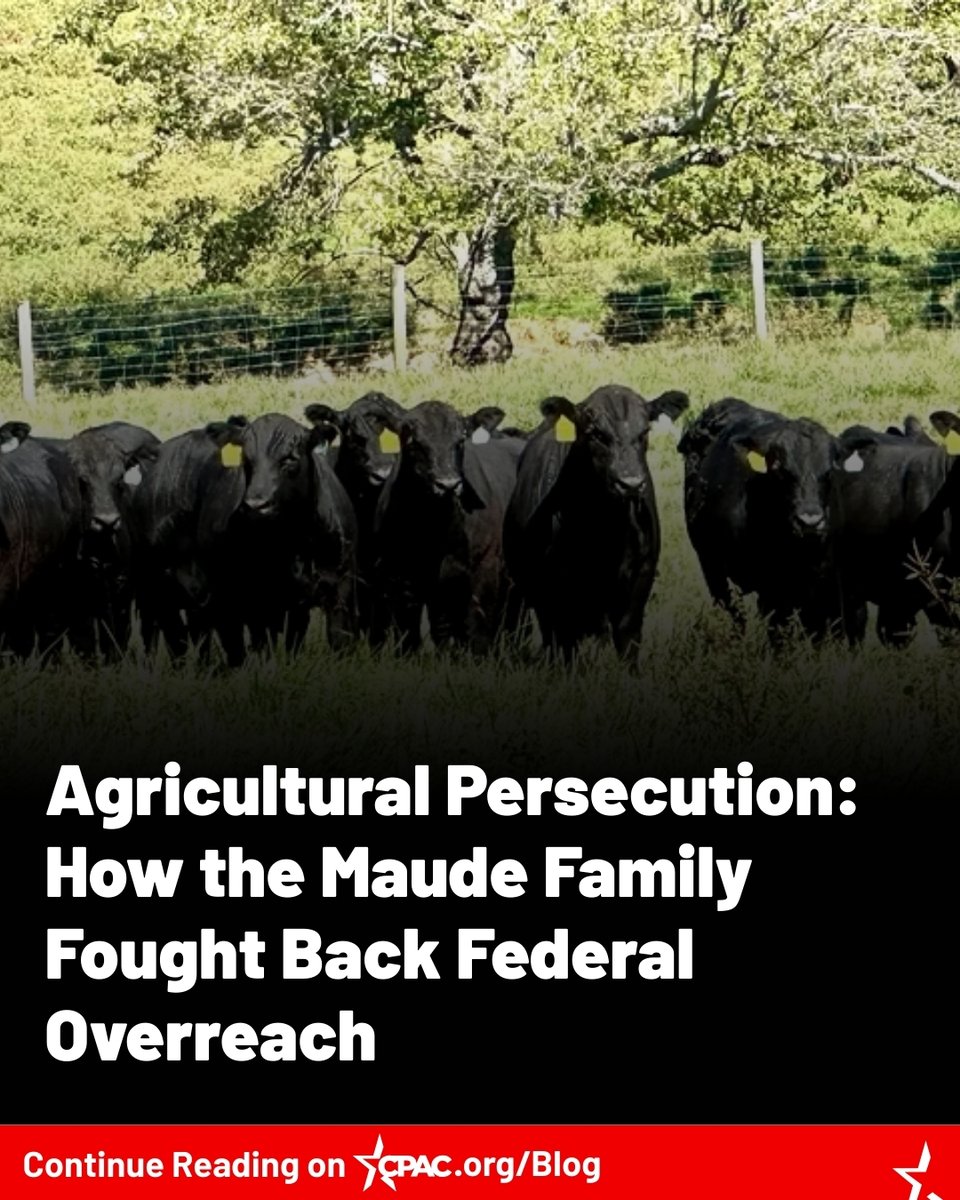 CPACRanchers's tweet photo. For more than a century, the Maude family has worked the same stretch of ranchland in South Dakota. Since the early 1900s, five generations have poured their sweat and sacrifice into building a cattle and hog operation near Caputa... https://t.co/DgHCEQxBPY