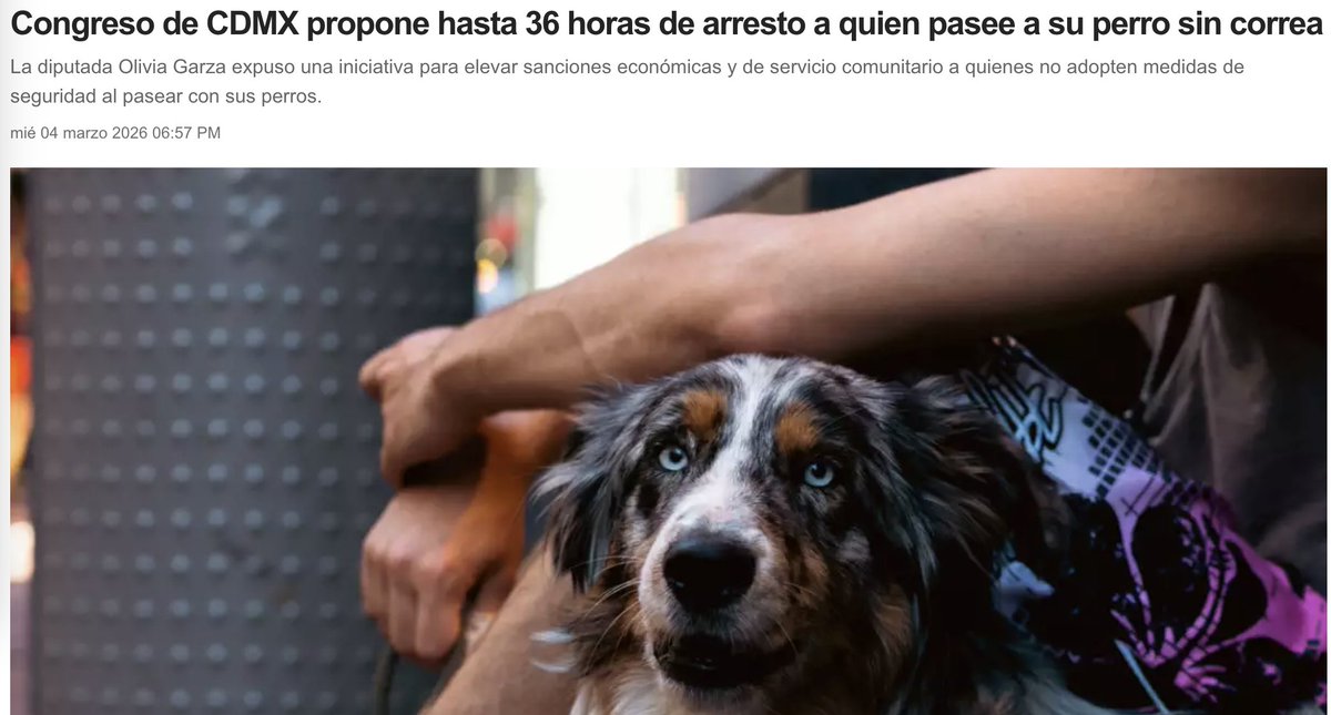 carolina rocha m tweet media