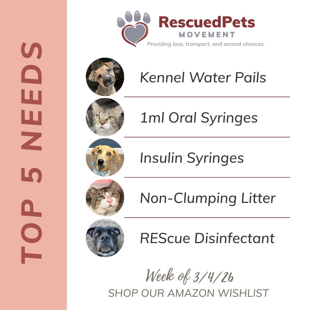 RescuedPetsMovement tweet media