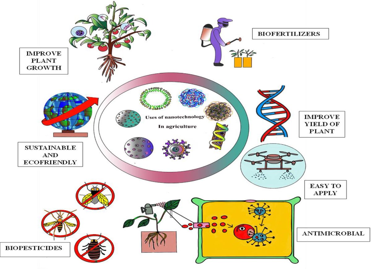 MaximumAcademic's tweet image. #SIF
Cordyceps fungi can green-synthesize silver &amp;amp; gold nanoparticles with potent biocidal properties against crop pests, diseases &amp;amp; weeds.
@EcologicalAR #GreenNanotechnology #Biocontrol
Details: maxapress.com/article/doi/10…
