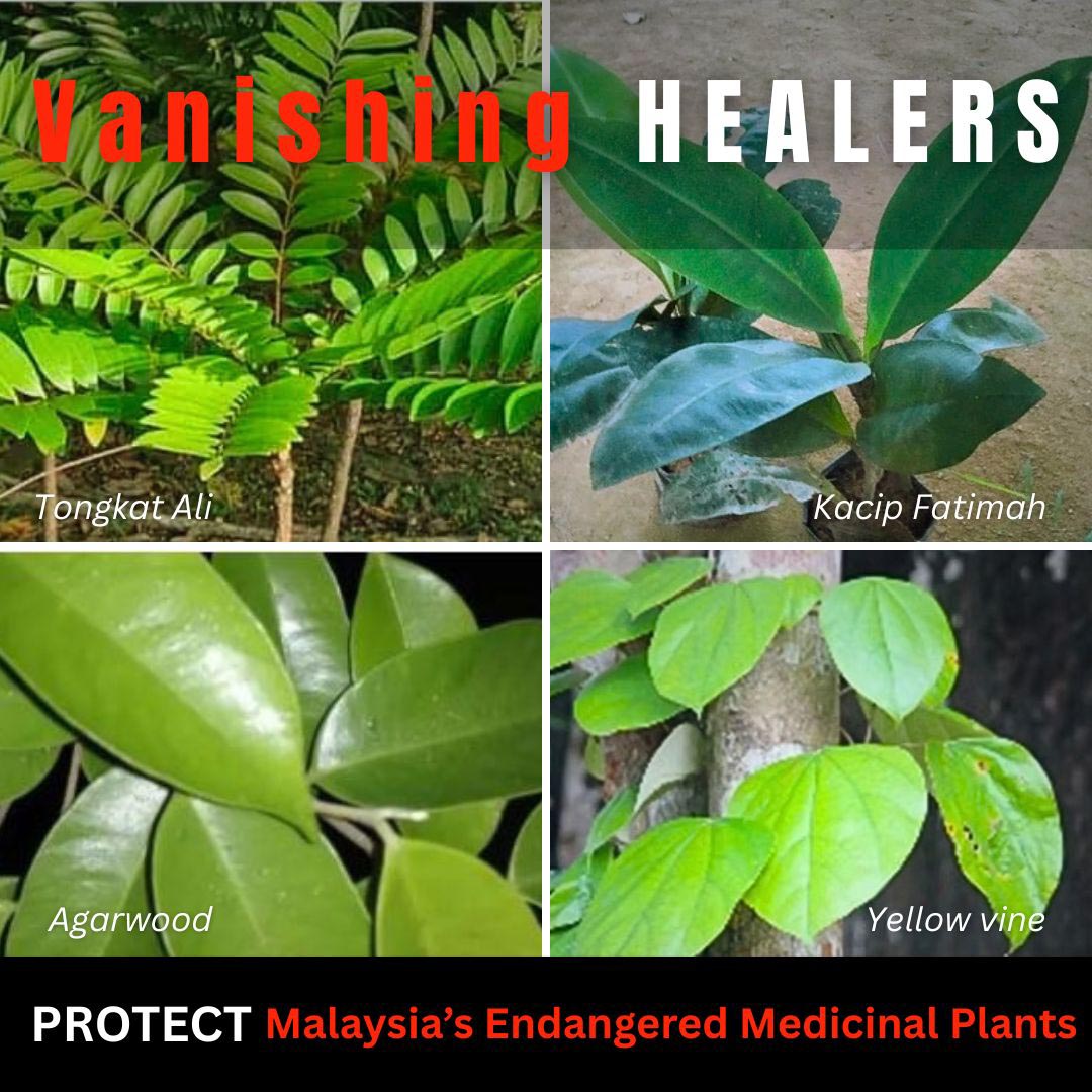 Consumers Association Penang tweet media