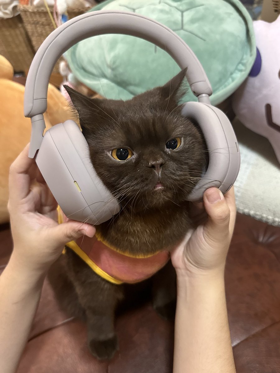 jejemama🎧🩰 tweet media