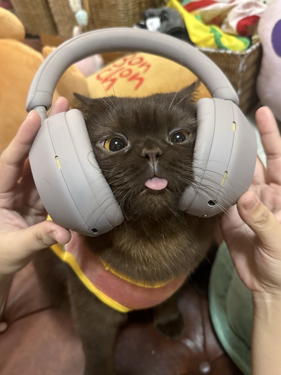 เทสดีพอยัง