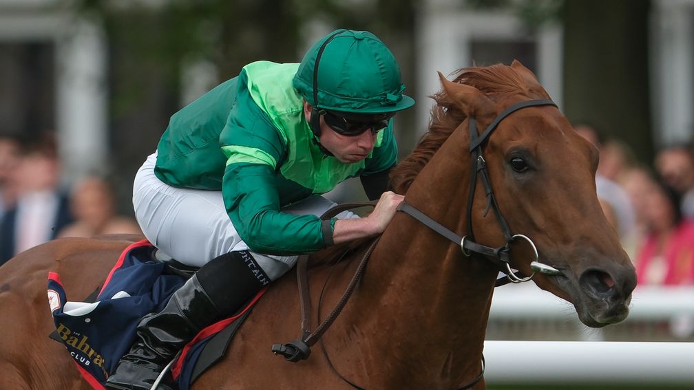 Racing Post Bloodstock tweet media