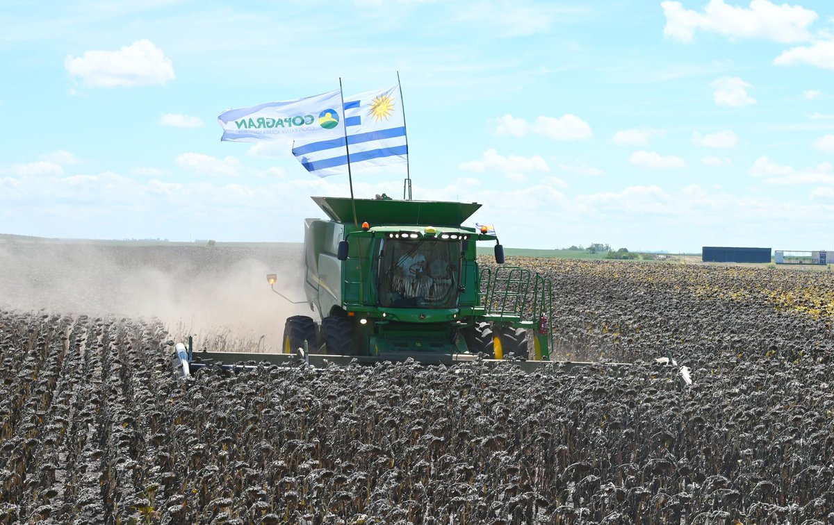 Uruguay Natural tweet media