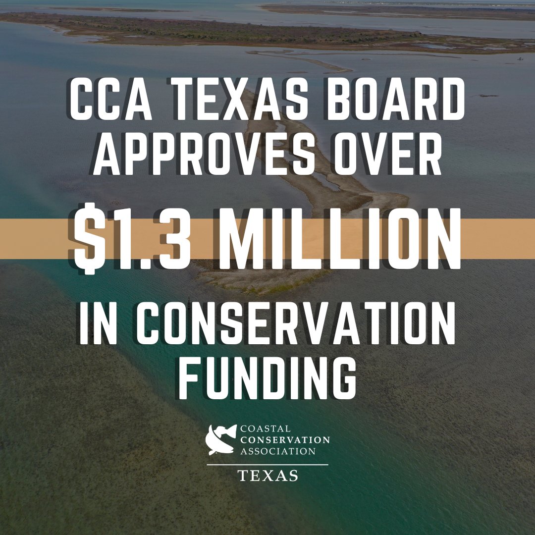 CCA Texas tweet media