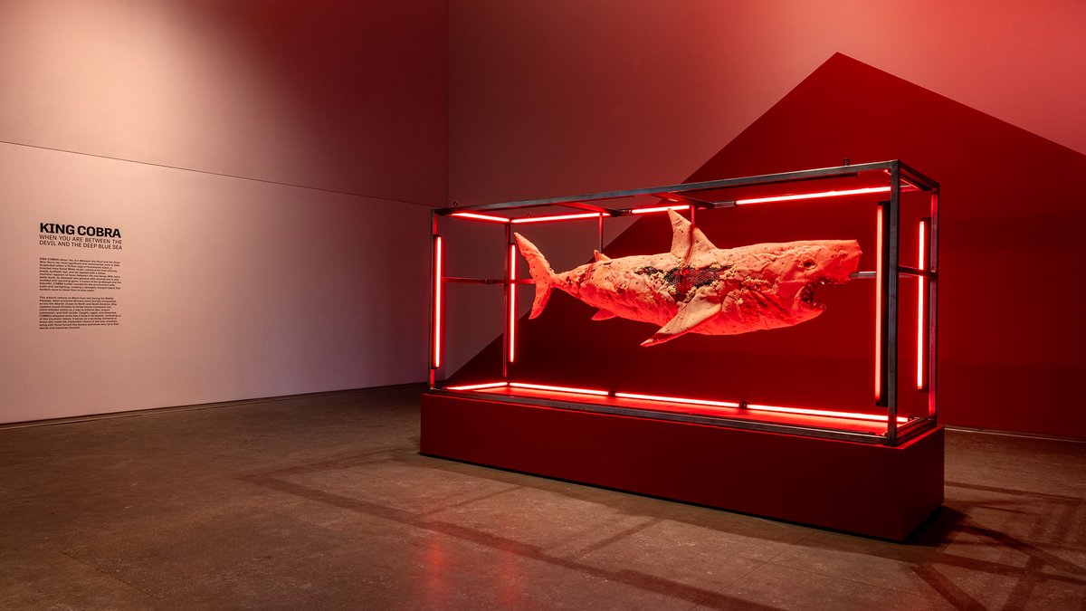 moCa Cleveland tweet media