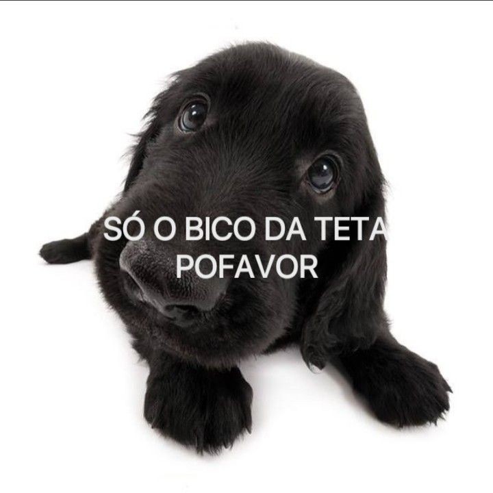 sigafraseslow's tweet photo. https://t.co/jhExePTOD9