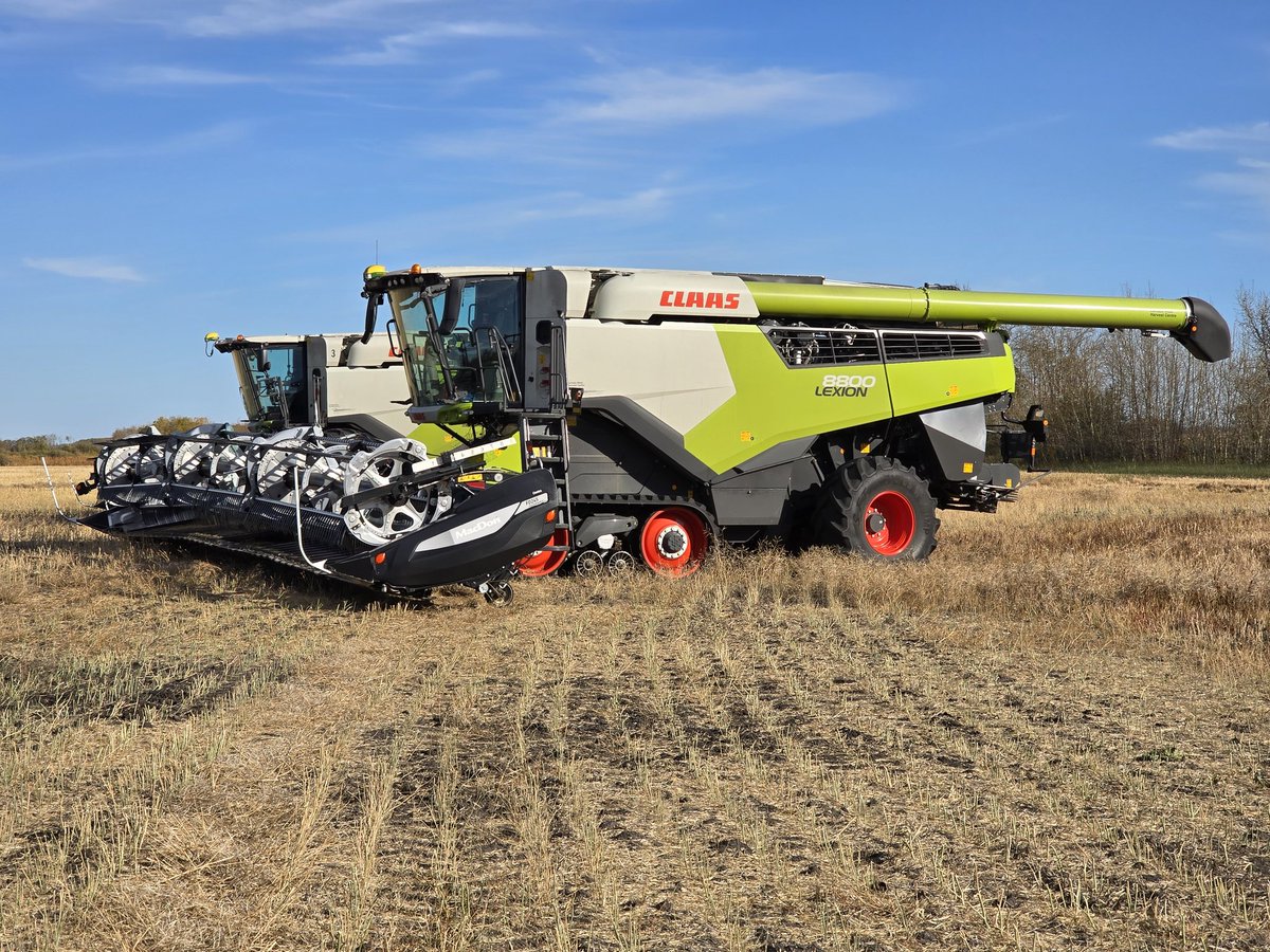 Chuck Deluxe tweet media