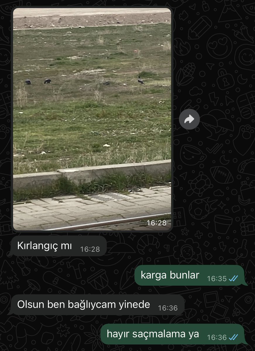 oğlan çocuğu, OĞLAN ÇOCUĞU…