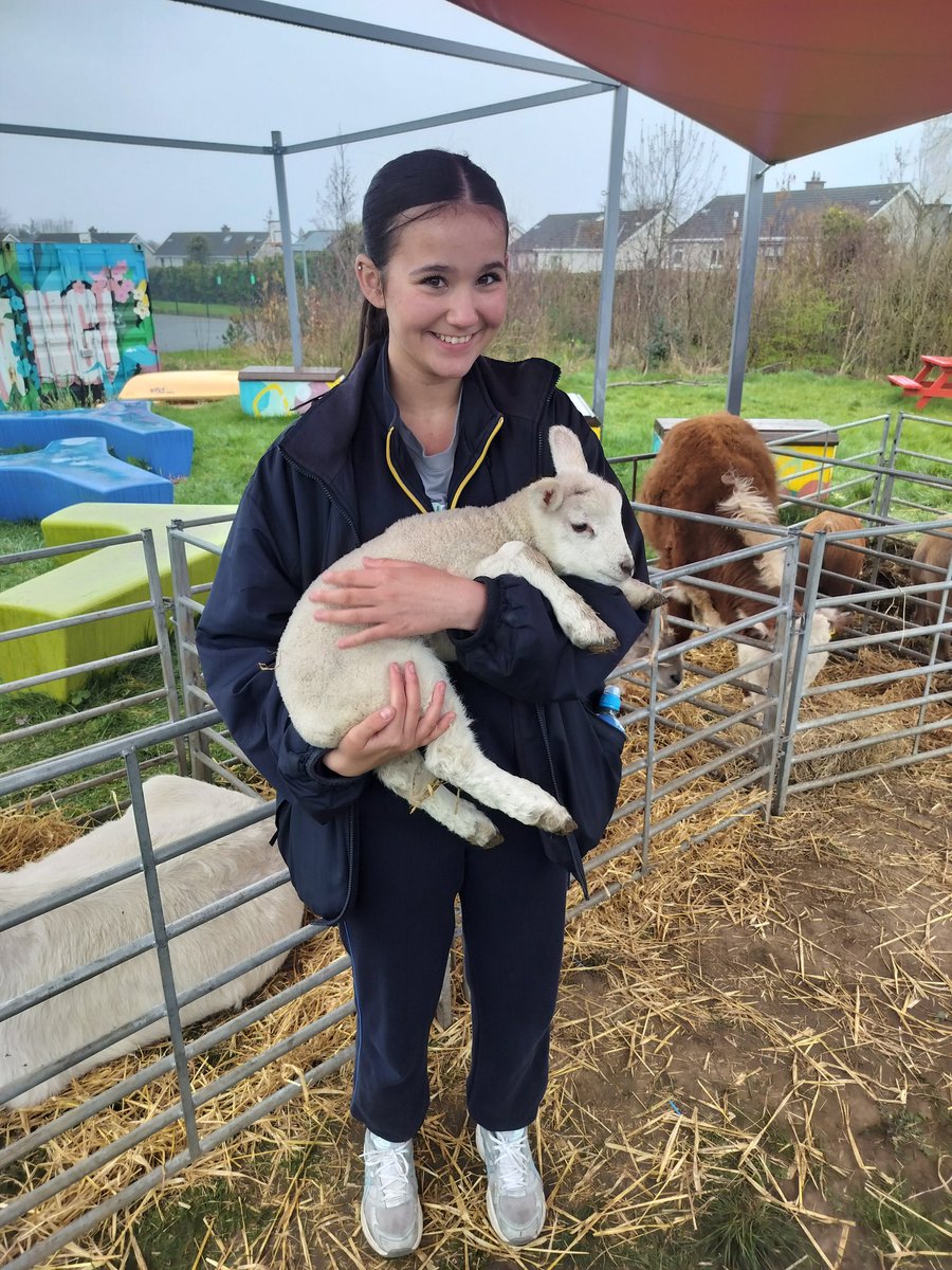 Ms. Scanlon tweet media