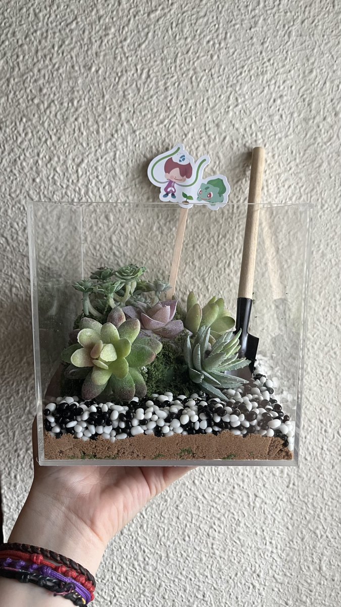 inanilux's tweet image. ME MUUEEERO DE AMOR🤧❤️‍🩹

Muchísimas gracias por este kit de terrario y el llavero de ditto @Pokemon_ES_ESP 🩷💚

He estado un rato entretenida (para nada se me han caído las piedras y las he tenido que recoger)

#PokemonPokopia #Pokemoninfluencer #regalo