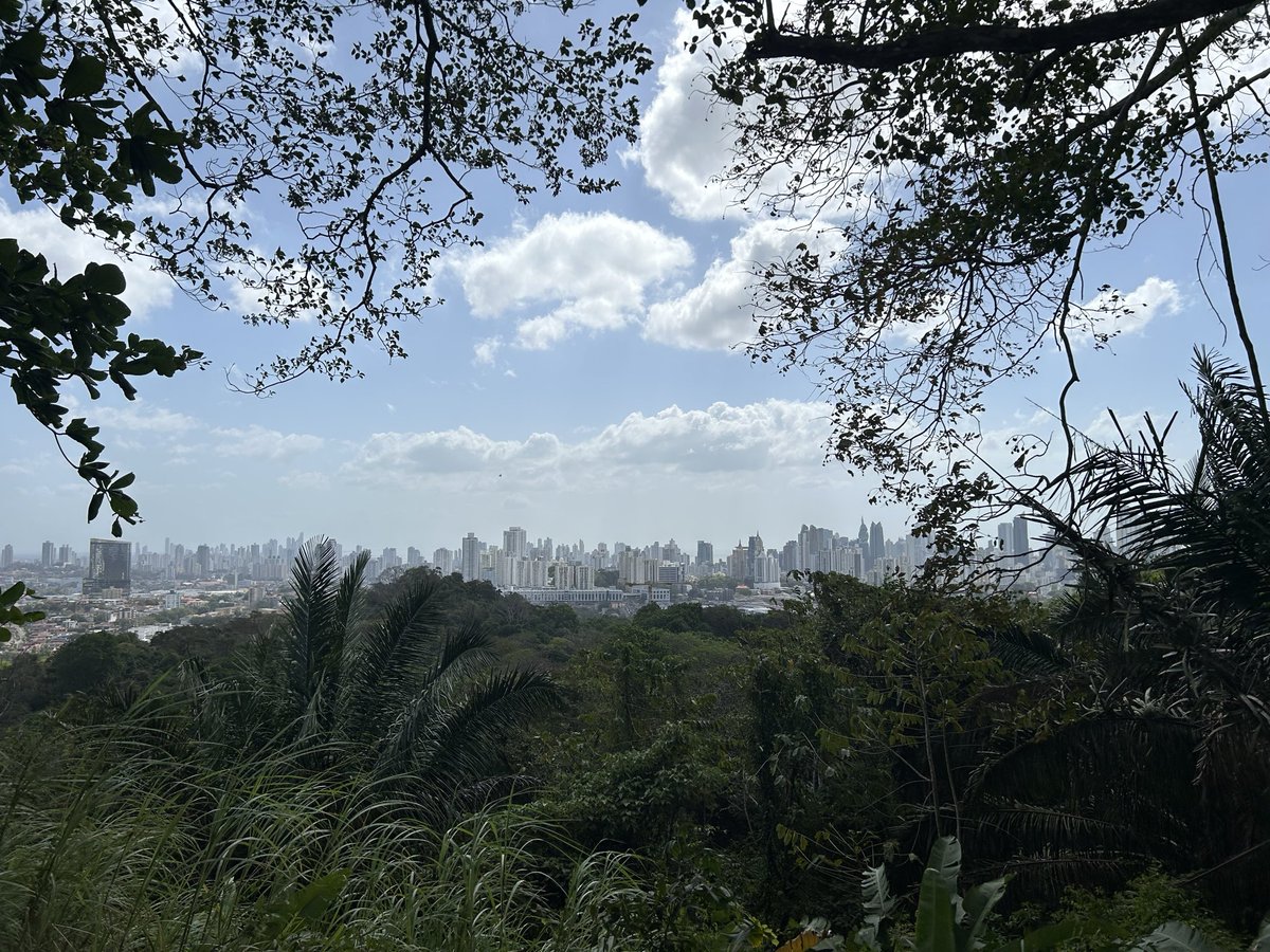 Justin M🇨🇦 tweet media