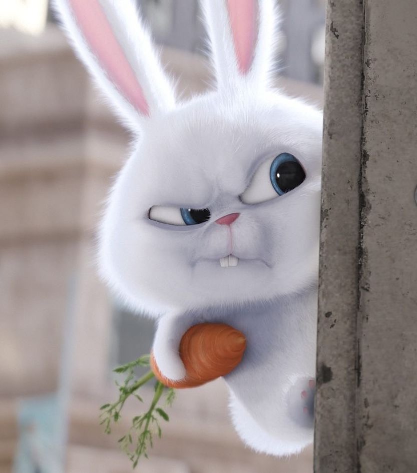 DailyCarrot_'s tweet photo. Did you vote for Carrot today ? ‼️

#ONEPIECE #ONEPIECE_WT100 

Link : https://t.co/vPfOOFX5oO https://t.co/8KtRELelnA