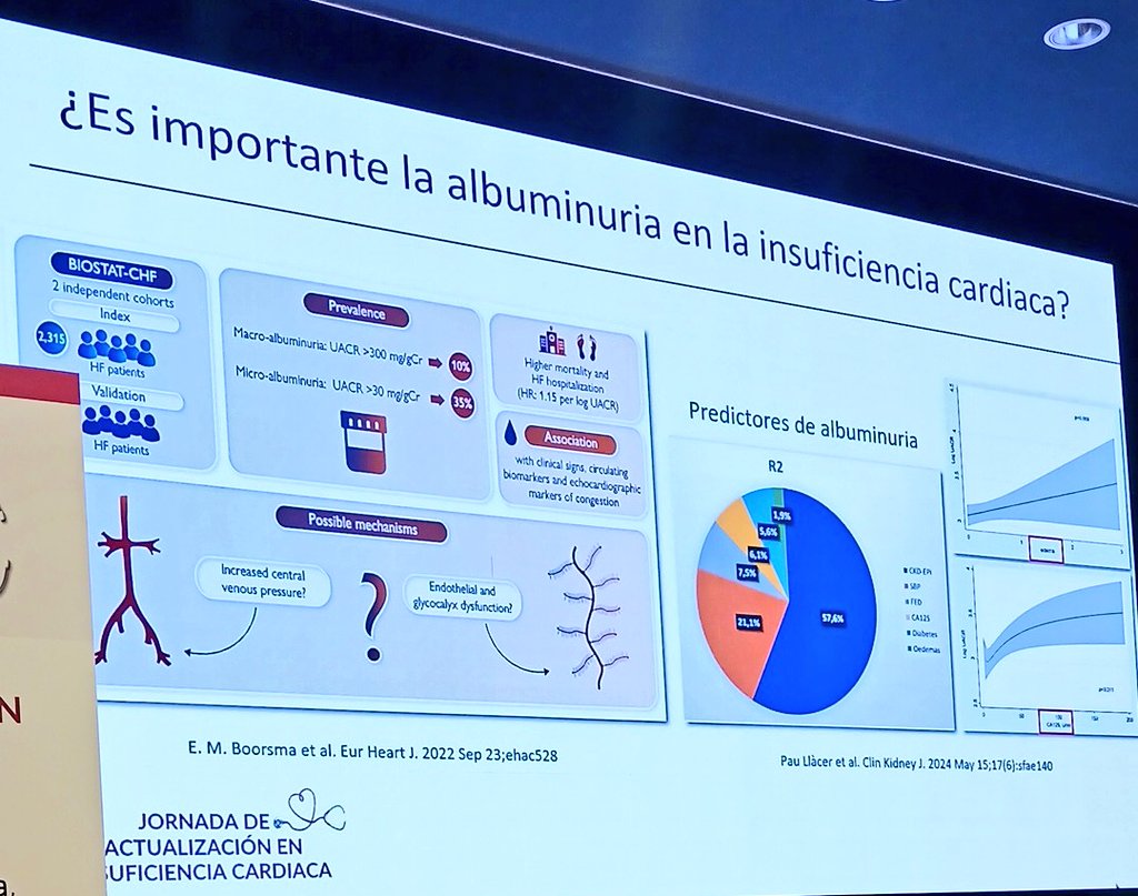CardioHGUGM's tweet photo. Segunda mesa #JIC2026
Síndrome Cardiorrenometabolico
@Cardioren
Diálogo, discusión y valiosa opinión experta de #MarcoVaca @paullaceriborra @ZorbaBlazquez #MaiteVidan @caravaca_pedro
Manejo transversal entre #MedInterna #Geriatria #Nefrologia #Cardiologia
@CardioRenalSEC https://t.co/rawkn8mgHy