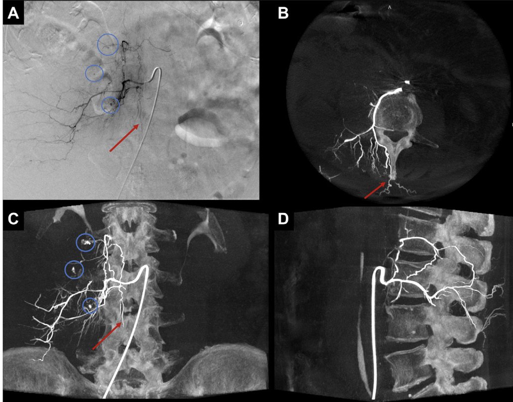 SERAM - Sociedad Española de Radiología Médica tweet media