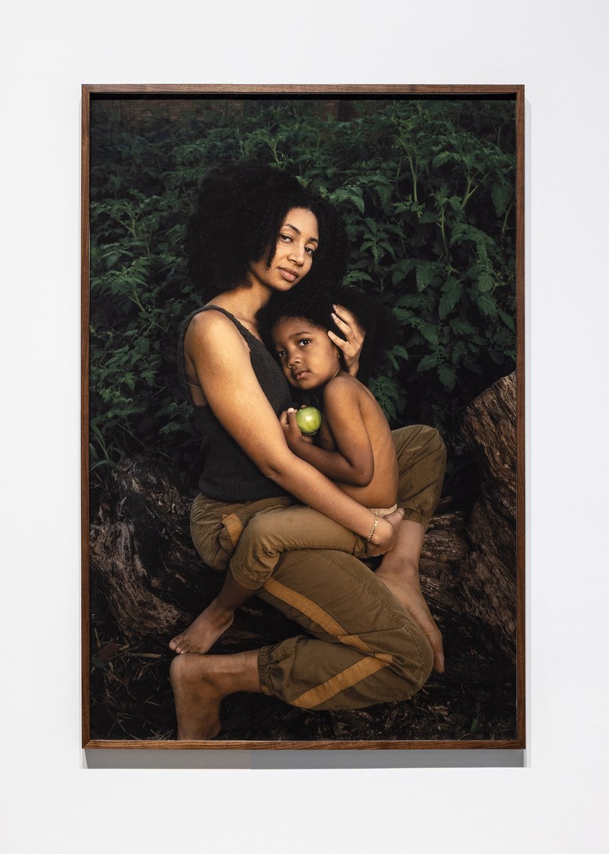 moCa Cleveland tweet media