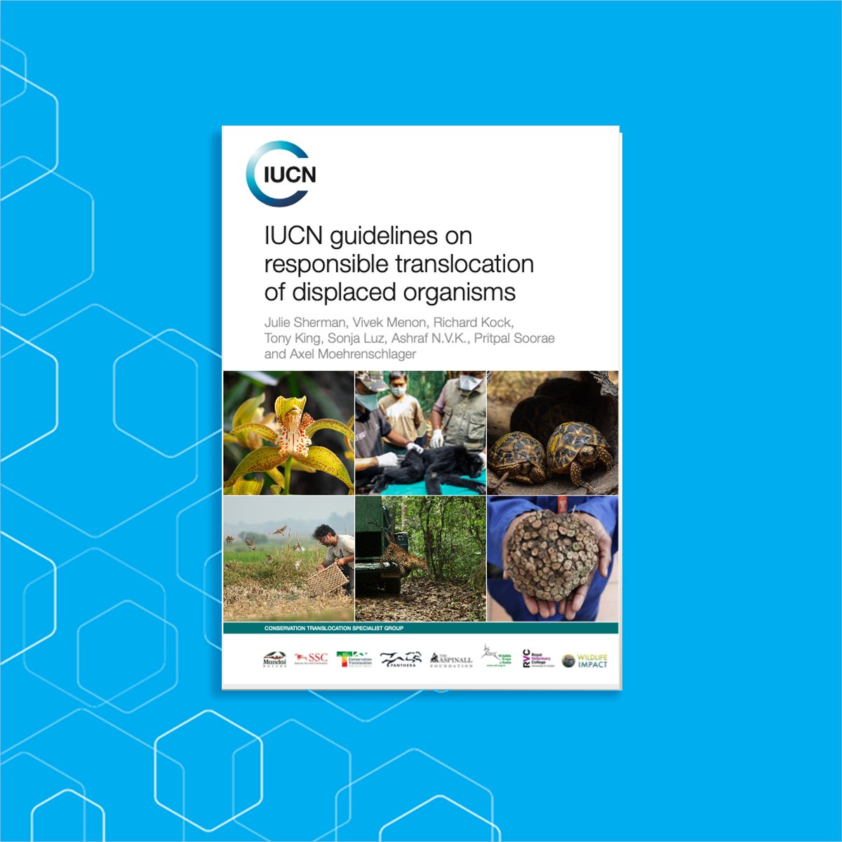 IUCNssc's tweet photo. 📷  Announcement!
The IUCN SSC Guidelines on responsible translocation of displaced organisms was launched. This publication aims to improve decision-making, planning, and management of displaced organisms. Download it here: https://t.co/3UZNluRl3w
#WeAreSSC @wti_org_india https://t.co/DjAwb29fcL