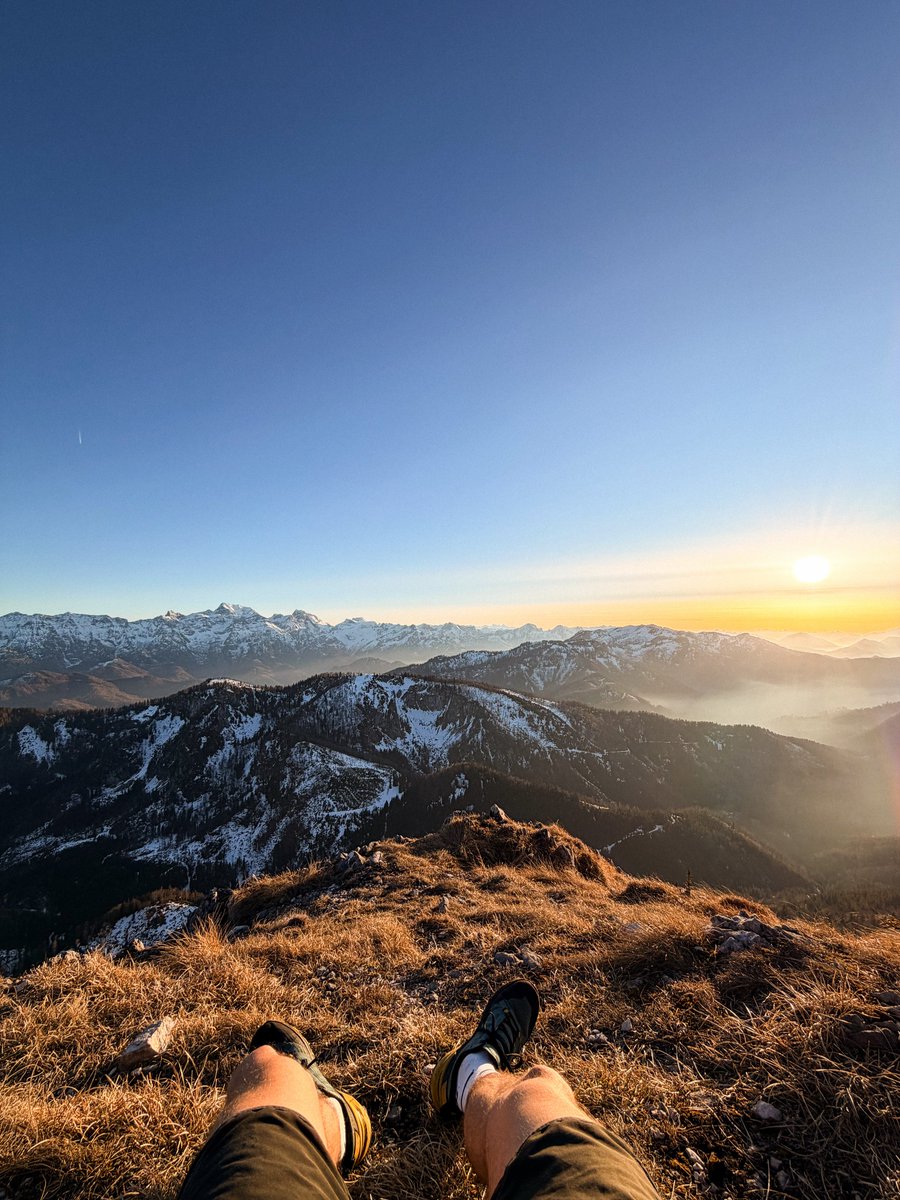 Fabian Pimminger tweet media