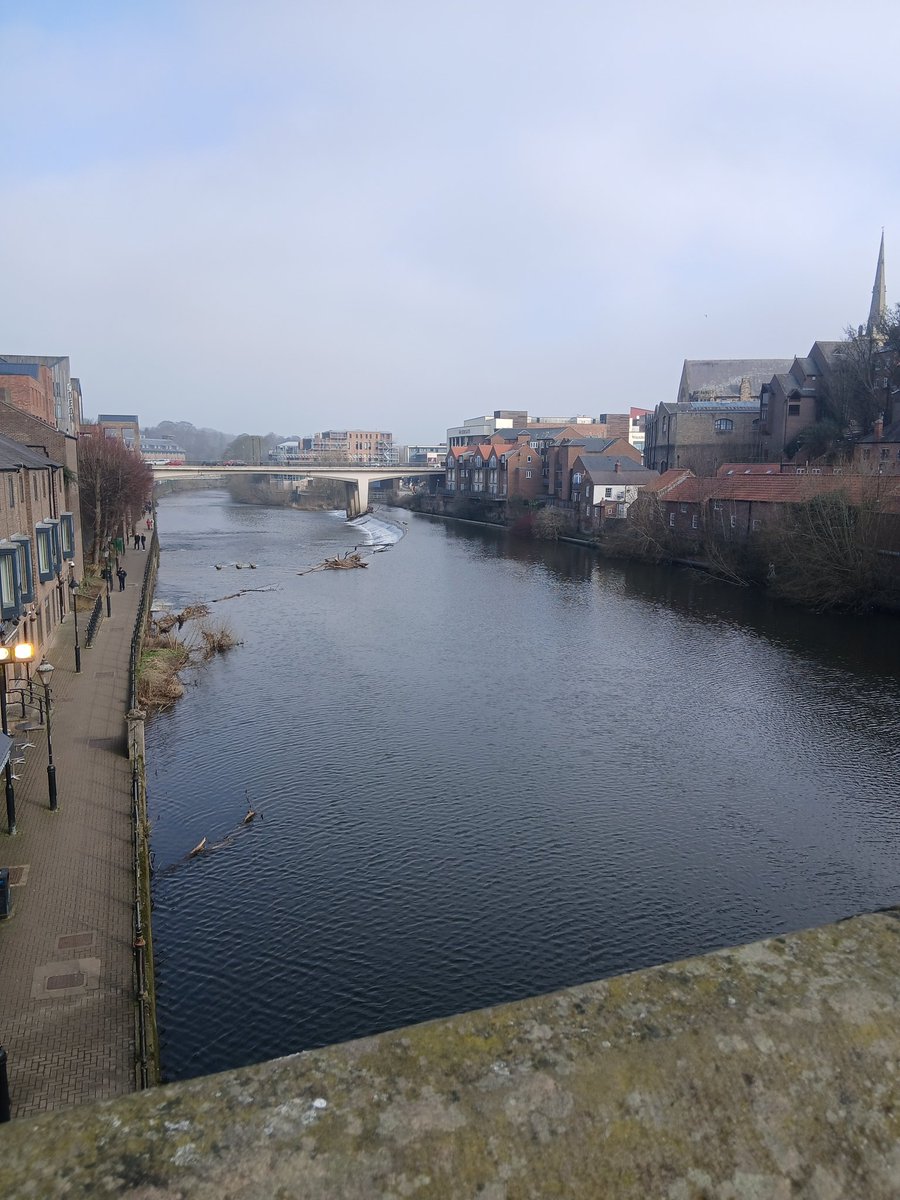 Anthony Day tweet media