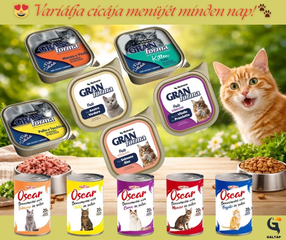GaltapM's tweet photo. 😻 Variálja cicája menüjét minden nap! 🐾
A Gáltápnál gondoskodunk róla, hogy kedvence sose unjon rá a vacsorára! Legyen szó egy könnyű krémes pástétomról napközben, vagy egy laktató, húsos konzervről este – nálunk minden falat igazi gasztro-élmény. 🍽���✨
https://t.co/gjbWYNQ5GL https://t.co/ZDok3HhzD5