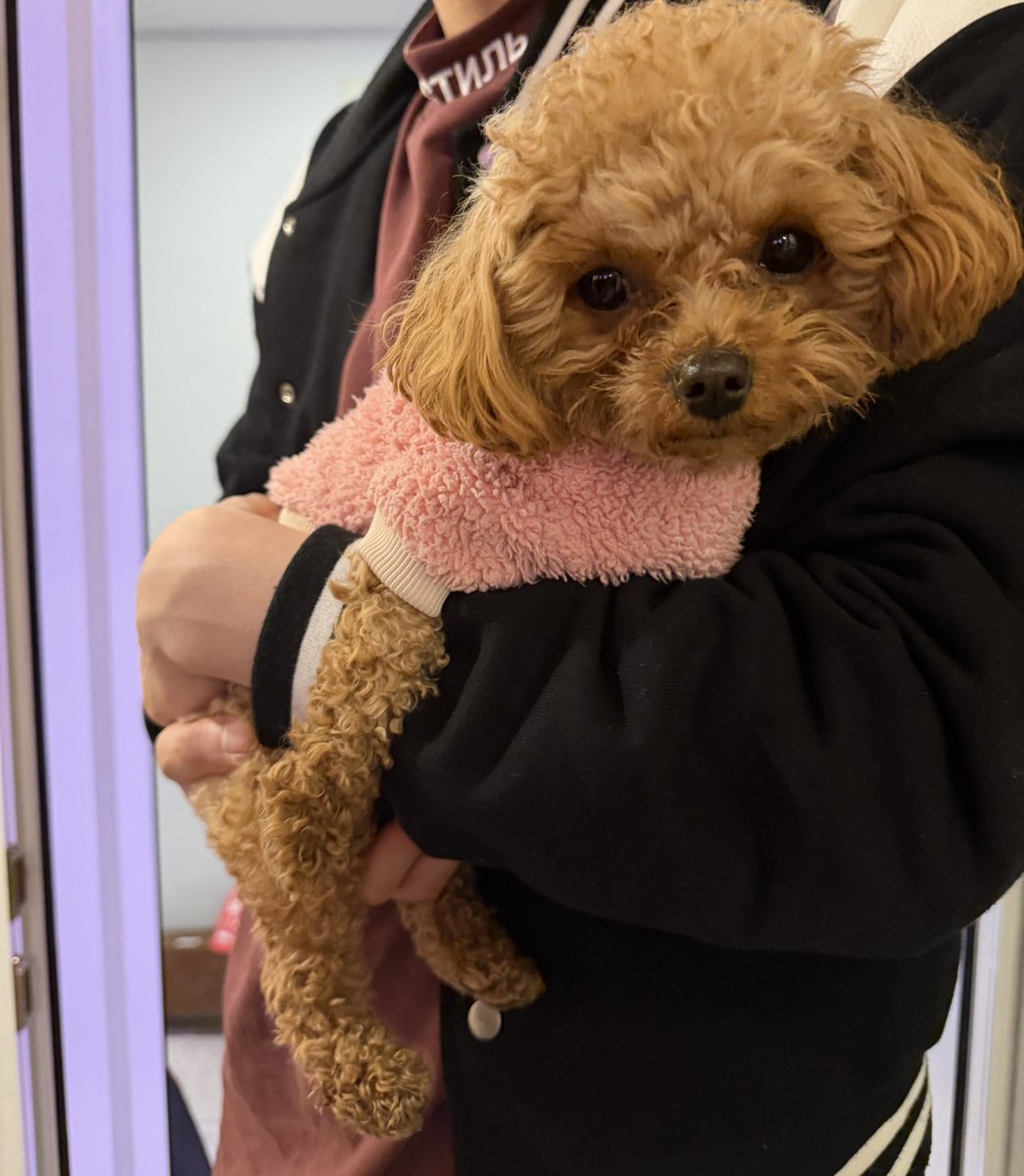 이녀석 너무 귀여워ㅜ