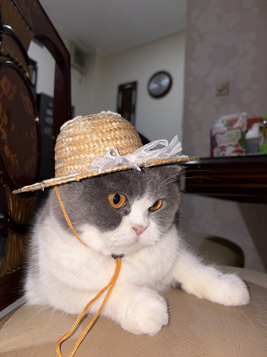 seberapa cantik si aku?