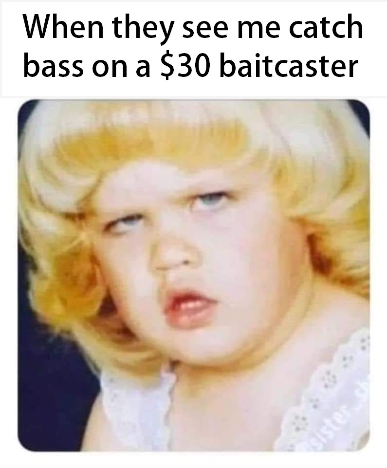 Realistic Fishing tweet media