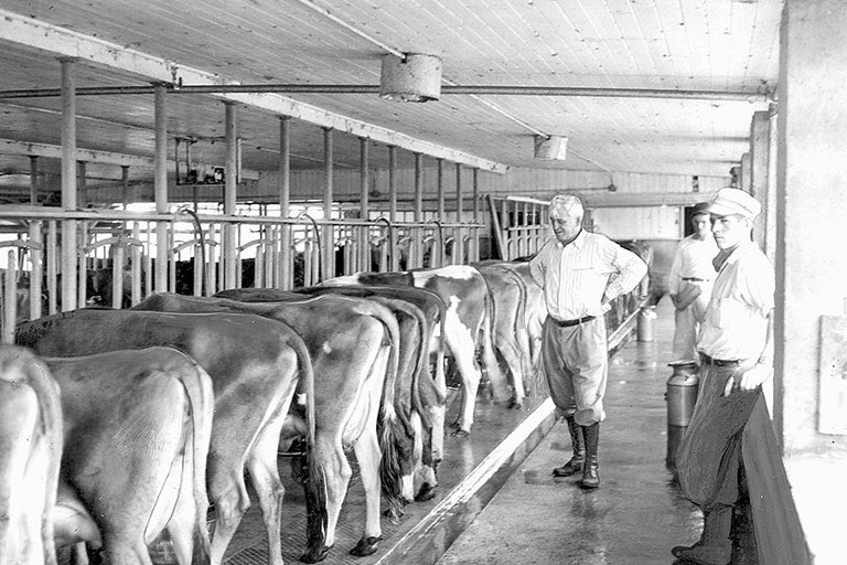 And yes our Swinging Cow logo is legit. My great grandfather operated a dairy farm where the course sits today for many years.