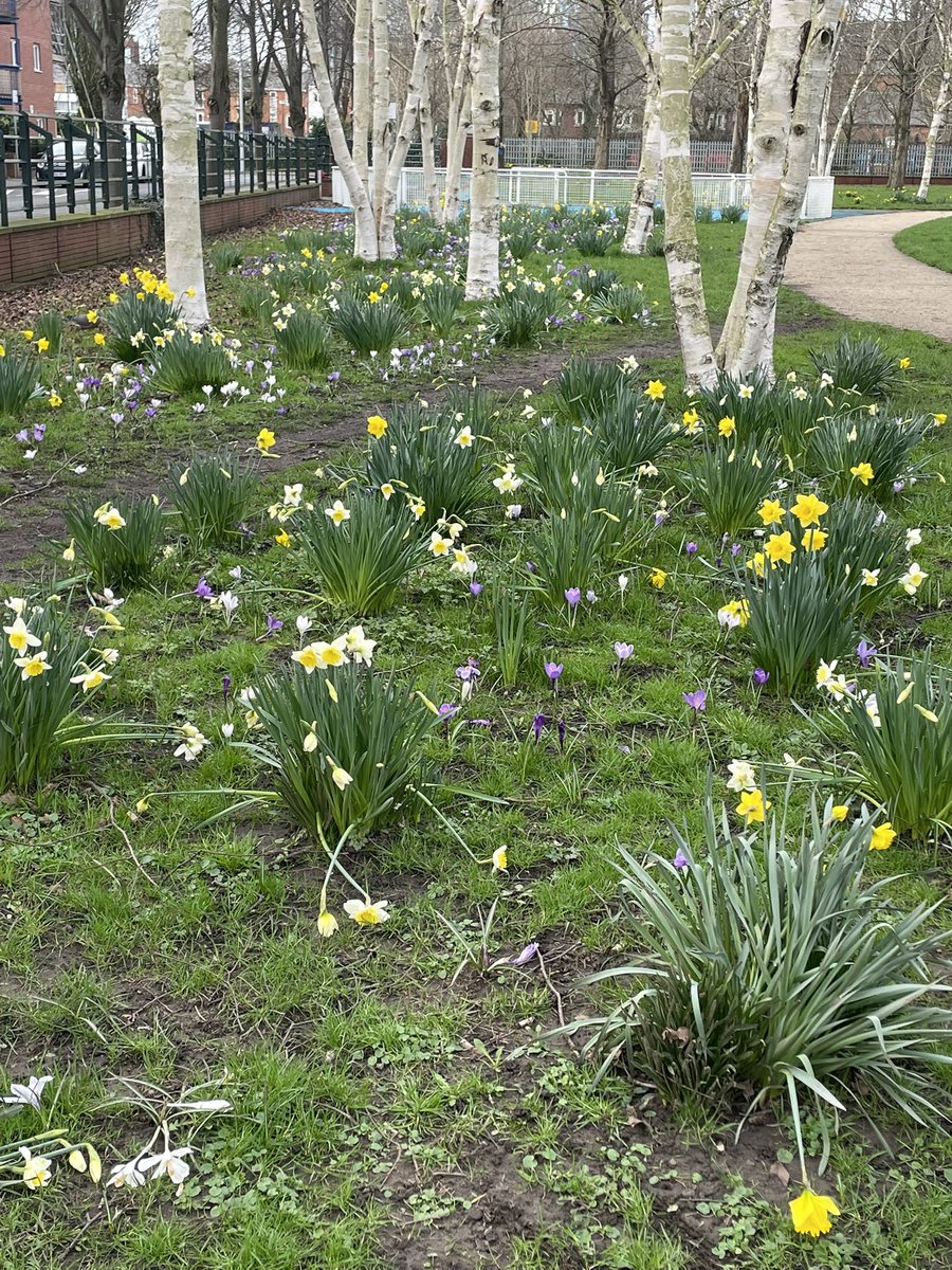 AFD/Derbs🇺🇦 tweet media
